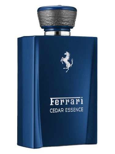 Cedar Essence Ferrari pro muže 