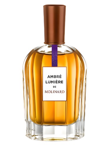 Ambre Lumiere Molinard pro ženy a muže 