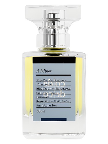 perfume A Minor Code Deco pro muže 
