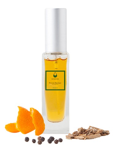 Pouvoir Mystique FL Parfums pro ženy a muže 