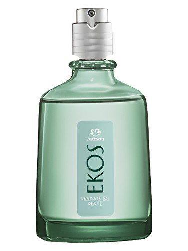 Mate leaves folhas de mate