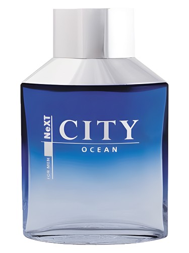 Ocean City Parfum pro muže