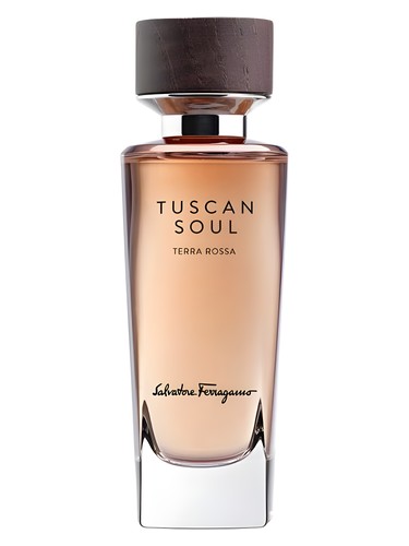 Terra Rossa Salvatore Ferragamo perfume - a fragrance for