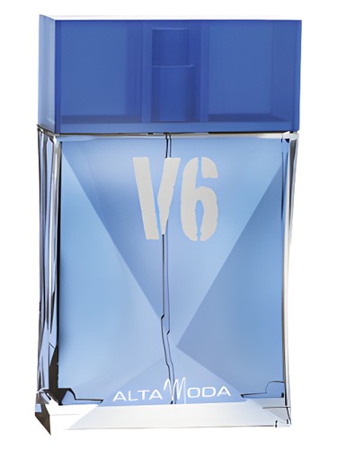 V6 Alta Moda pro muže 