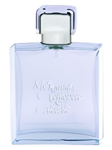 perfume The Man I Love (Мужчина которого я люблю)  Vero Uomo pro muže 