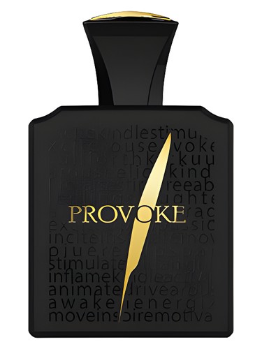 Provoke Black Afnan pro ženy a muže 