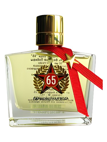 65 Лет Великой Победы (65 Years Of The Great Victory in the WWII)