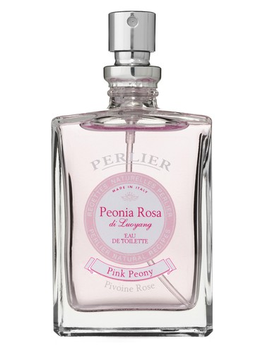 Peonia Rosa Perlier pro ženy
