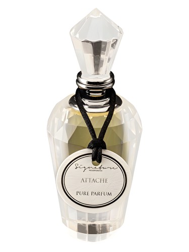 Attache Signature Fragrances cologne a fragrance for men 2014