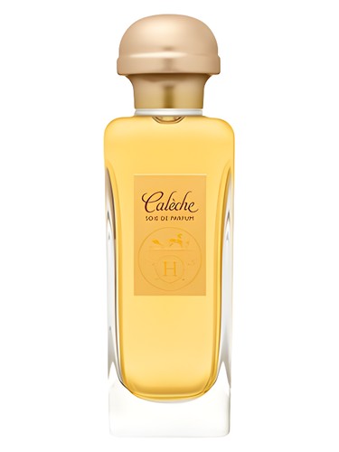 Caleche Soie de Parfum Hermès perfume - a fragrance for