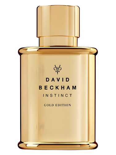 Instinct Gold Edition David Beckham pro muže 