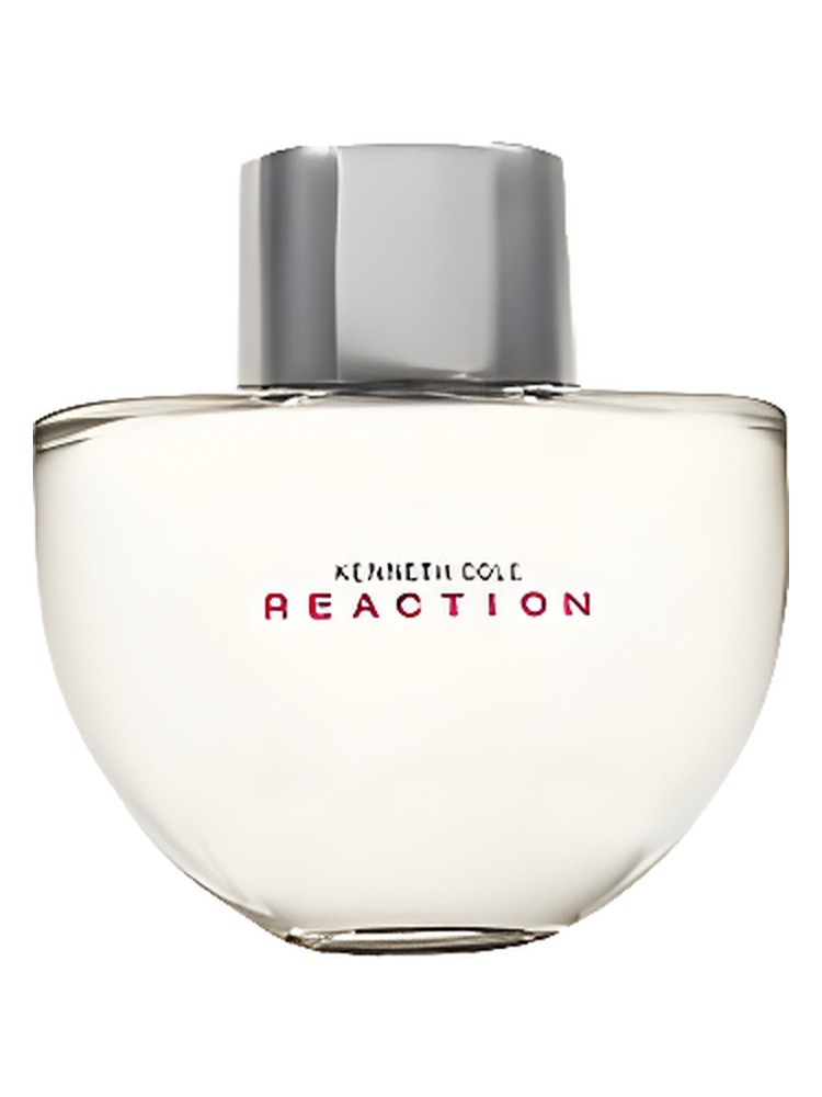 Manteau Femme Gonflé Noir Kenneth Cole Reaction - Sans Capuche, Taille Small, Occasion Très Bon état