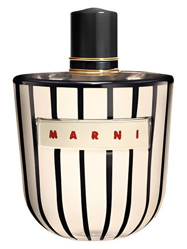 Floral Fragrance Marni Rose Perfume Marni Eau De Marni Marni