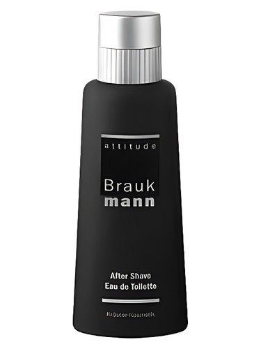 perfume Braukmann Attitude Hildegard Braukmann pro muže 