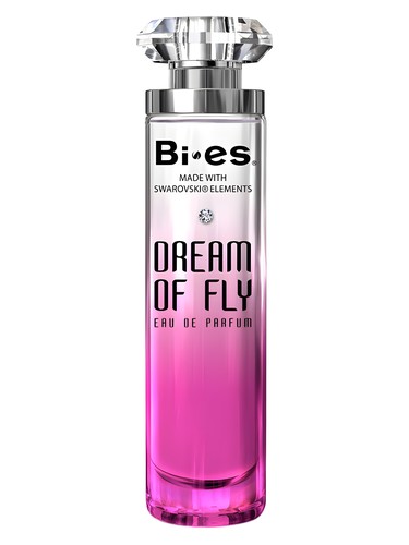 Dream of fly
