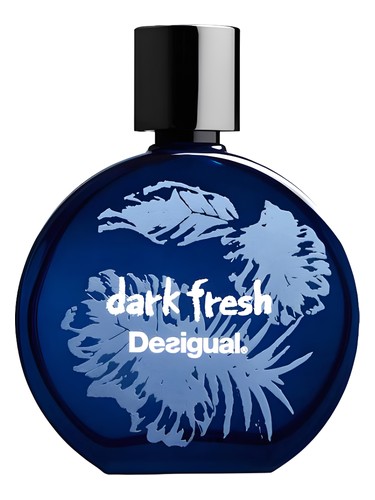 Dark Fresh Desigual pro muže 