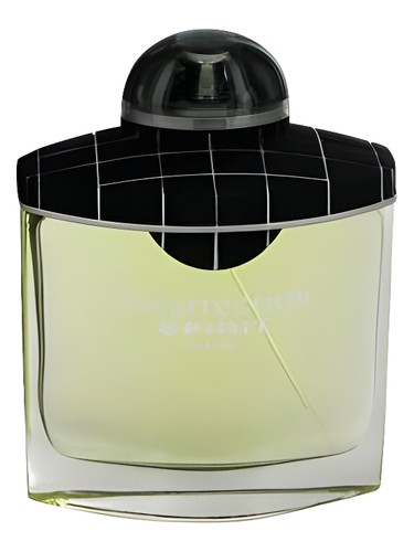 perfume Insurrection Spirit Reyane Tradition pro muže 