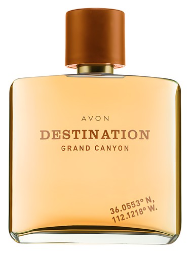 Destination Grand Canyon Avon pro muže 