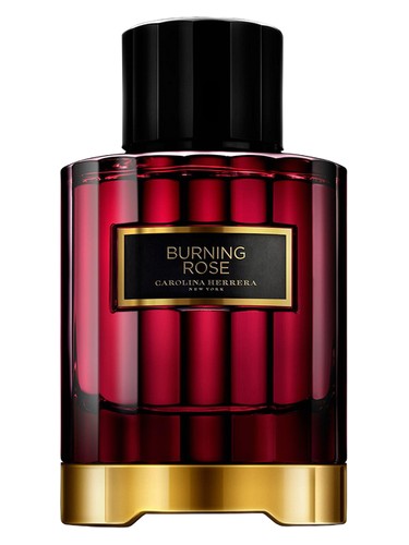 香水(ユニセックス) CAROLINA HERRERA BURNING ROSE 100ml CAROLINA HERRERA BURNING ROSE EAU DE PARFUM SPRAY 100 ML/3.4