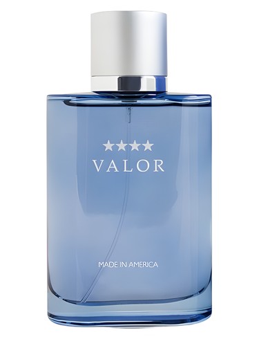 perfume Valor Eau de Toilette for Men Valor pro muže 