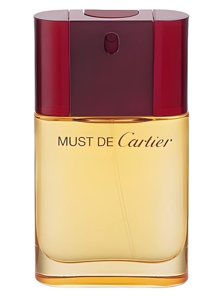 Cartier Must de Cartier II Pour Femme Gel Douche main image 0