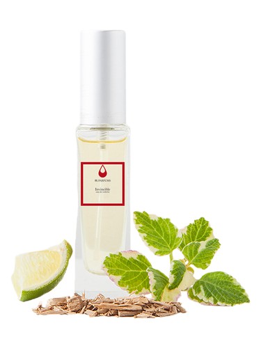 Invincible FL Parfums pro muže