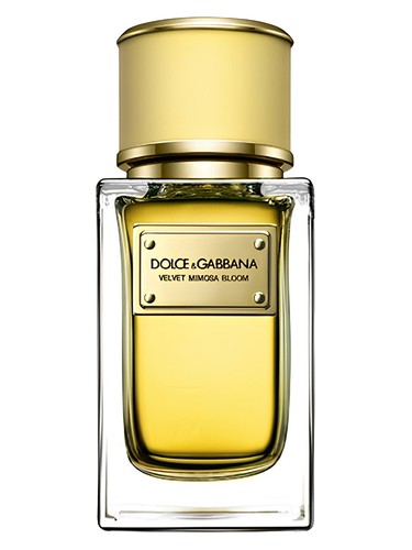 Velvet Mimosa Bloom Dolce&amp;Gabbana pro ženy 