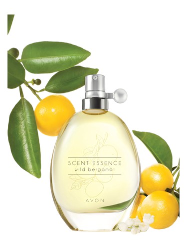 Scent Essence - Wild Bergamot Avon pro ženy 
