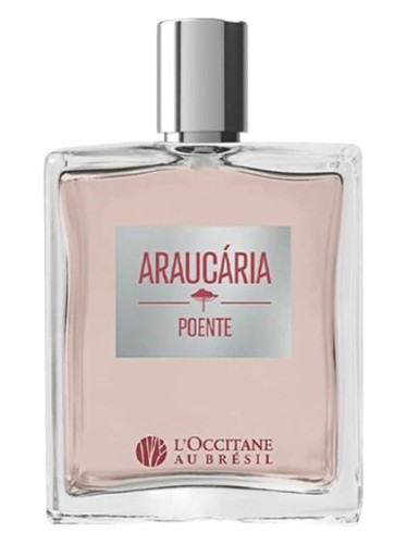 Araucária Poente L’Occitane Au Brésil pro muže 