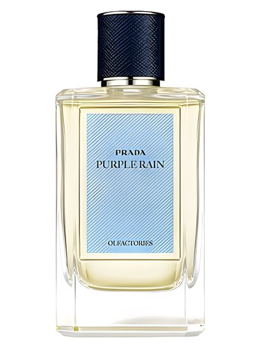 Purple Rain Prada pro ženy a muže