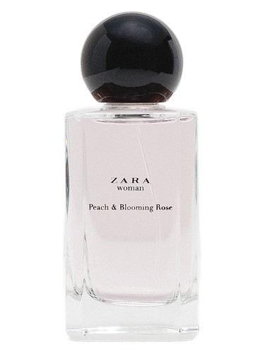 Zara woman peach blooming rose