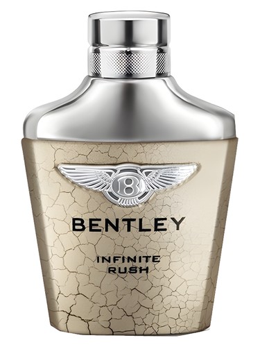 Infinite Rush Bentley pro muže 