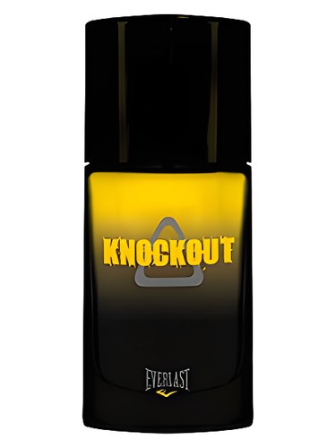 Knockout Everlast pro muže 