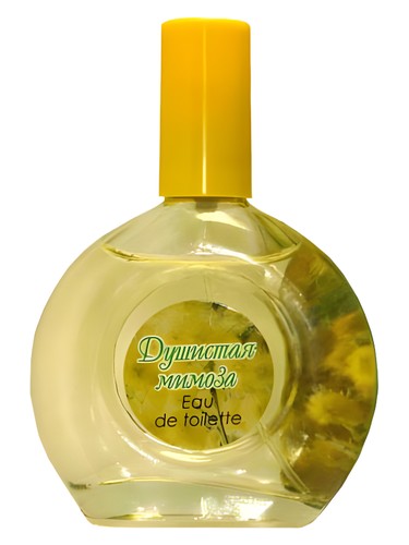 Sweet Mimosa Pokrovka Trading House pro ženy