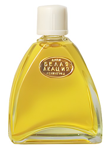 Белая Акация (White Acacia)