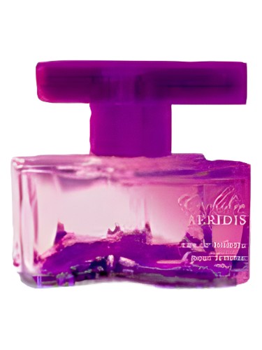 Orchidea Aeridis Brocard pro ženy 