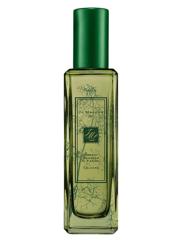 Carrot blossom fennel