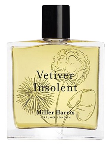 Vetiver insolent