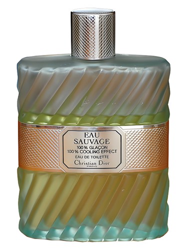 Dior sauvage 香水 DIOR SAUVAGE（ディオール ソバージュ） – 香水量り売り専門店