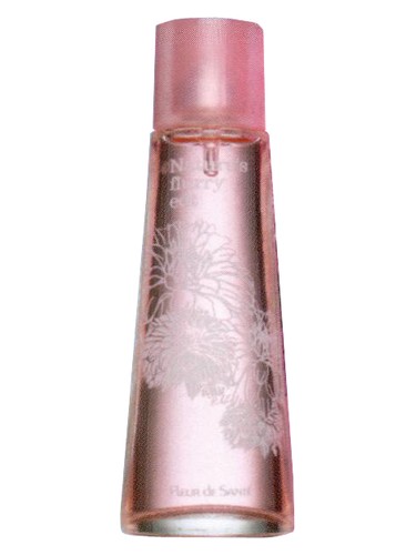 Natures Winter Flurry Fleur de Sante pro ženy 