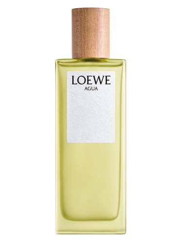 楽天市場】ロエベ アイレ スティレサ オードゥ トワレ 100ml