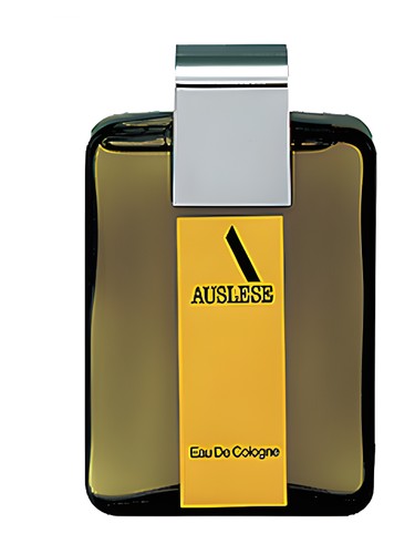 perfume Auslese Shiseido pro muže 