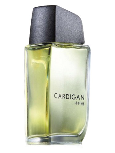 Cardigan Ésika pro muže 
