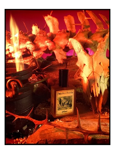 Gehenna Solstice Scents pro ženy a muže