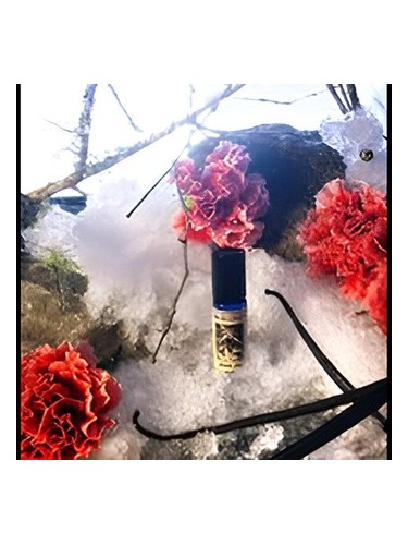 Winter Dove Solstice Scents pro ženy a muže 