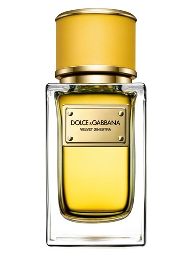 【貴重‼️限定価格】Dolce & Gabbana Velvet ジネストラ Velvet Ginestra Dolce&Gabbana perfume - a fragrance