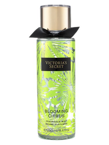Blooming Citrus Victoria&#039;s Secret pro ženy a muže 