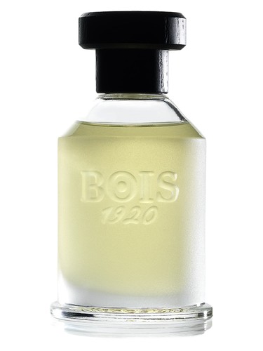 Rosa 23 Bois 1920 pro ženy a muže 