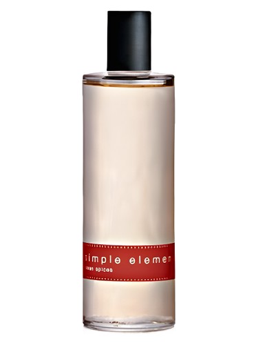 Simple Elements Clean Spices Avon pro muže 