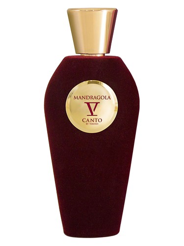 Mandragola V Canto pro ženy a muže 